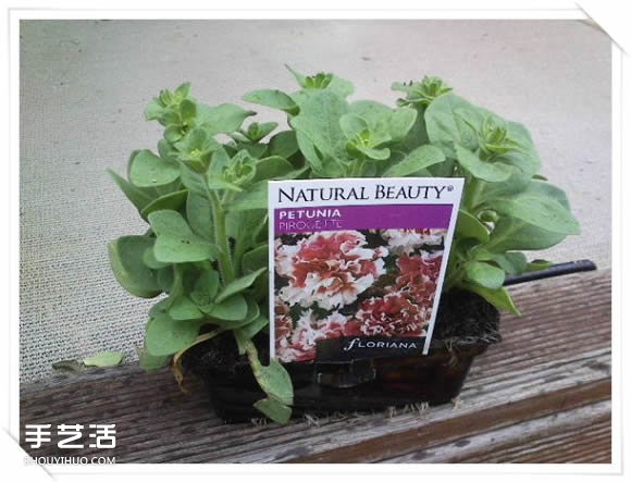 铁架DIY花盆架子图解 旧玩具废物利用做花盆架(图11)