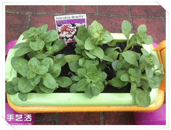 铁架DIY花盆架子图解 旧玩具废物利用做花盆架(图13)
