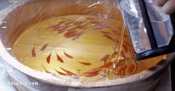 可怜小金鱼被透明树脂封存？别哭，你再仔细看(图8)
