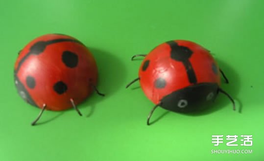 简单幼儿小手工：乒乓球制作七星瓢虫的方法(图11)