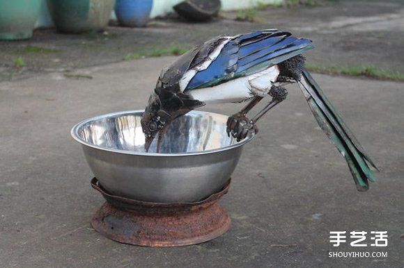 废弃金属变废为宝DIY翠鸟、蓝蝶、喜鹊等动物(图3)