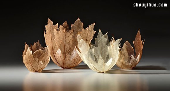 Kay Sekimachi 干枯叶子制作叶片碗雕塑(图7)