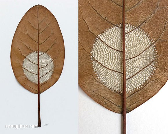 Susanna Bauer缝纫作品 在枯叶上穿针引线 - 双维造物网