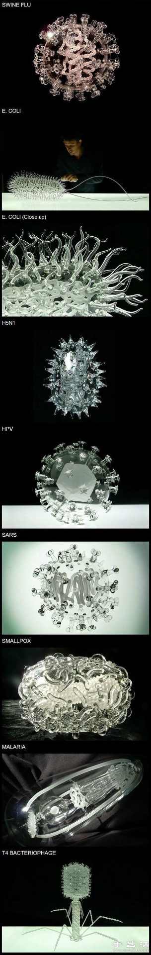 超震撼的玻璃材质病毒模型(图2)