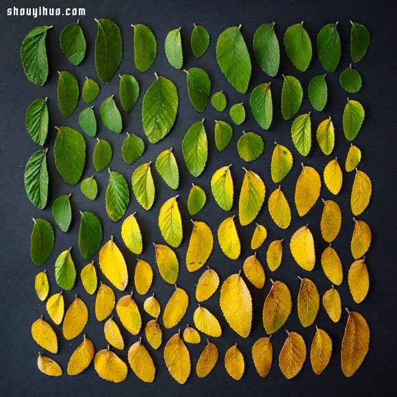 简单素材依色阶排列 DIY精采的创意照片(图2)