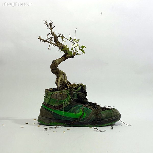 NIKE 球鞋创意DIY 变身漂亮小盆栽(图6)