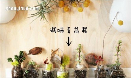 废物利用创意花盆盆栽DIY(图4)