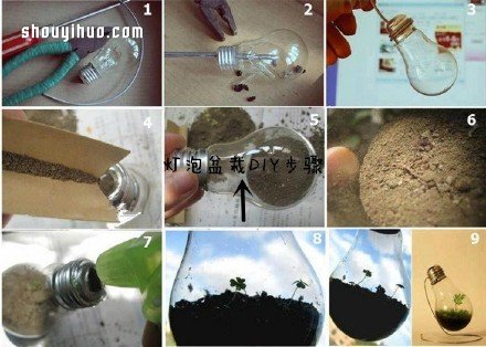 废物利用创意花盆盆栽DIY(图5)