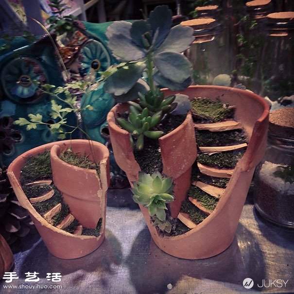 破花盆变废为宝DIY制作超美的创意盆栽(图2)
