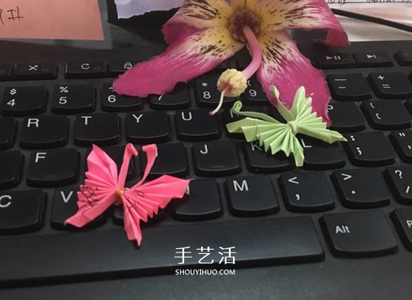 简单的方法折纸蝴蝶的图解教程 - 双维造物网