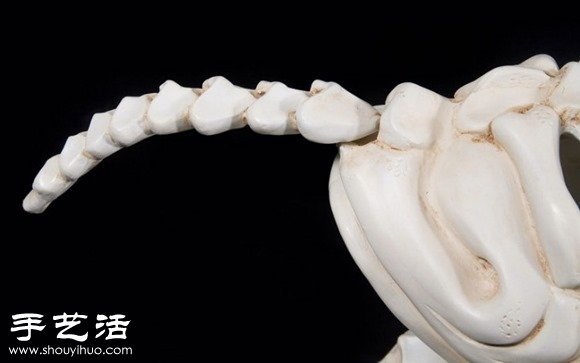 印度艺术家DIY的史前怪兽汽车模型(图10)