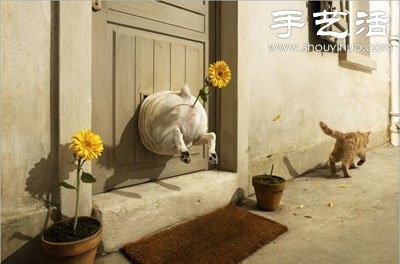 猫狗的趣味创意造型(图1)