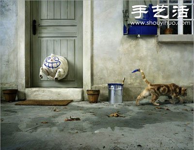 猫狗的趣味创意造型(图2)