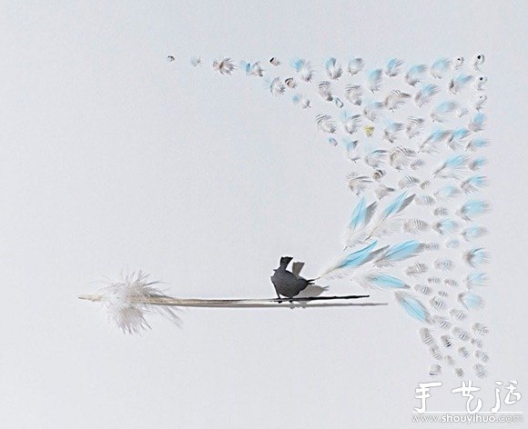 鸟儿羽毛艺术品手工制作(图6)