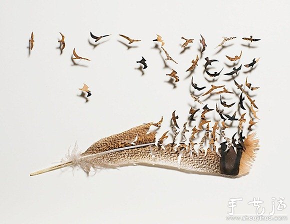 鸟儿羽毛艺术品手工制作(图10)