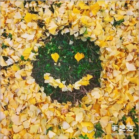 扫地也能很诗意 这么DIY让秋天落叶更浪漫！(图7)