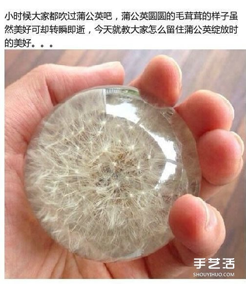透明蒲公英球小饰品DIY制作过程步骤 - 双维造物网