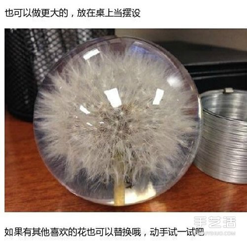 透明蒲公英球小饰品DIY制作过程步骤(图8)