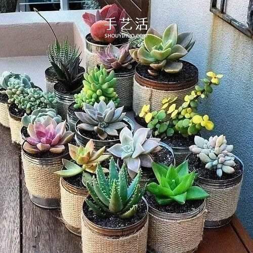 不花一分钱！废物利用做花盆美到让邻居羡慕(图14)