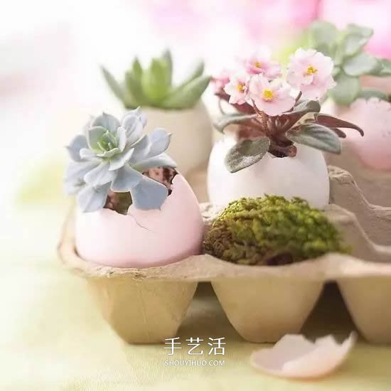 不花一分钱！废物利用做花盆美到让邻居羡慕(图26)