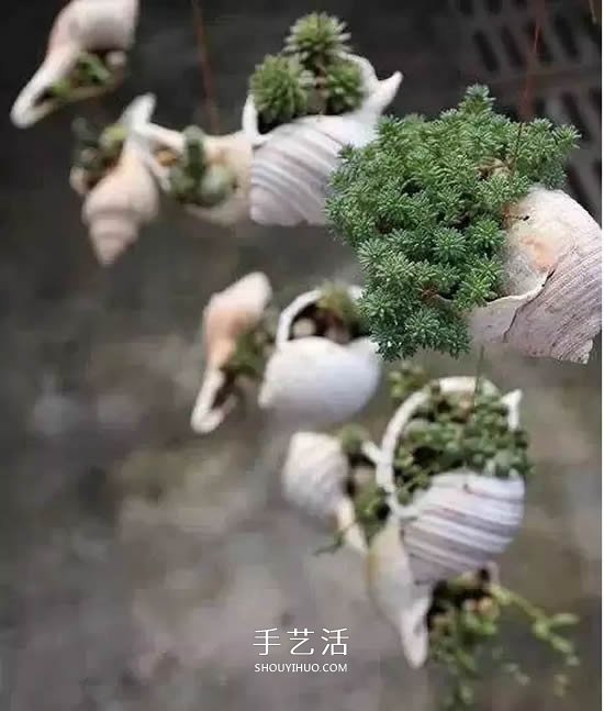 不花一分钱！废物利用做花盆美到让邻居羡慕(图36)