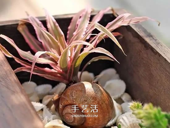 不花一分钱！废物利用做花盆美到让邻居羡慕(图39)