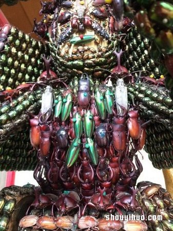 慎入！用昆虫尸体制作武士盔甲和千手观音(图5)