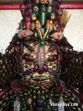 慎入！用昆虫尸体制作武士盔甲和千手观音(图4)