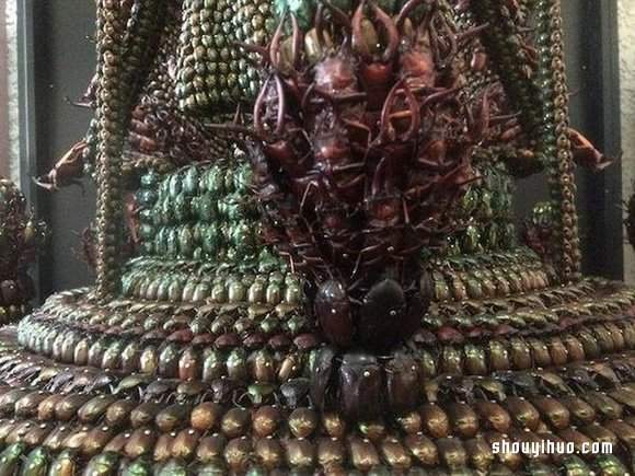 慎入！用昆虫尸体制作武士盔甲和千手观音(图8)