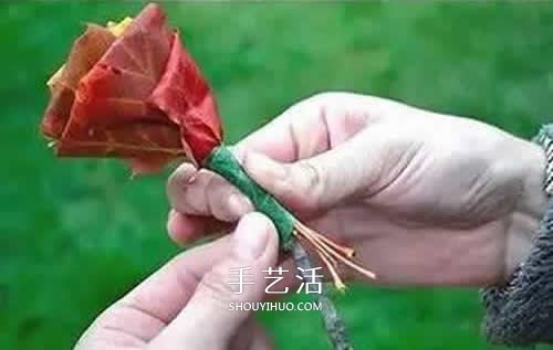 落叶制作玫瑰花图解 枫叶玫瑰花的做法步骤(图7)