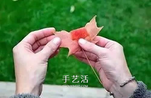 落叶制作玫瑰花图解 枫叶玫瑰花的做法步骤(图3)