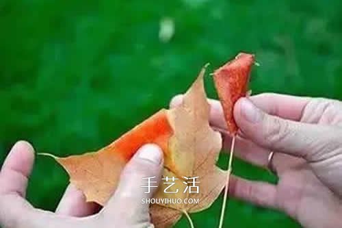 落叶制作玫瑰花图解 枫叶玫瑰花的做法步骤(图4)