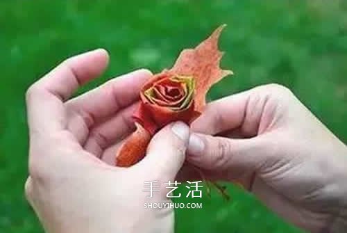 落叶制作玫瑰花图解 枫叶玫瑰花的做法步骤(图6)