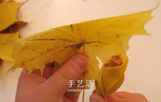 枫叶手工制作玫瑰花苞 树叶玫瑰花苞的做法(图6)