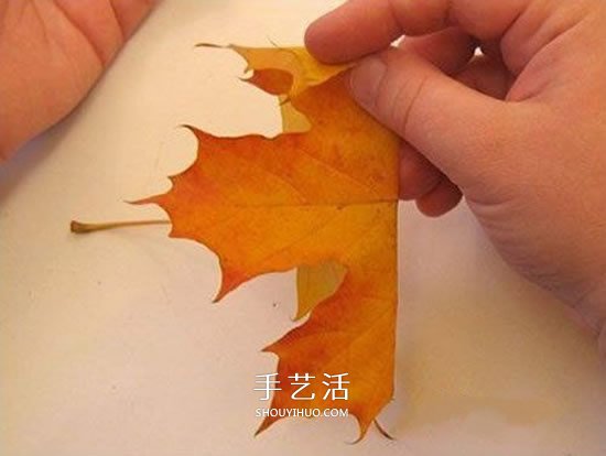 枫叶手工制作玫瑰花苞 树叶玫瑰花苞的做法(图2)