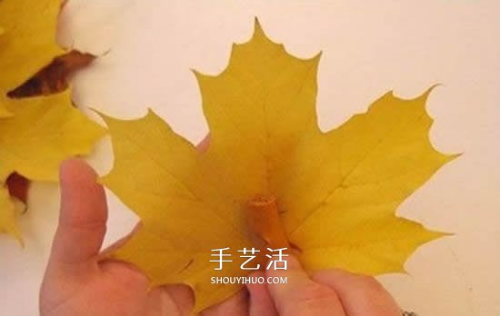 枫叶手工制作玫瑰花苞 树叶玫瑰花苞的做法(图4)