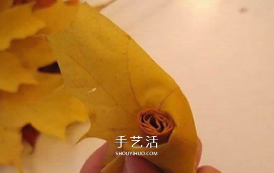 枫叶手工制作玫瑰花苞 树叶玫瑰花苞的做法(图5)