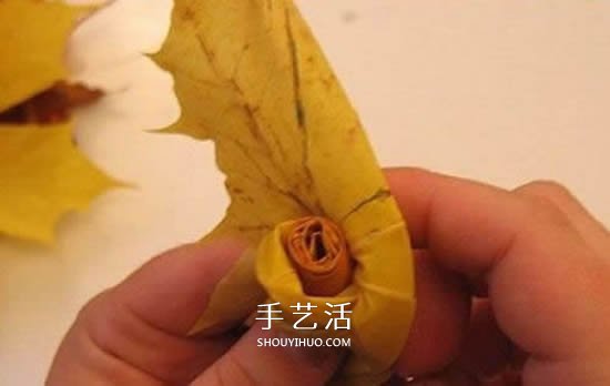 枫叶手工制作玫瑰花苞 树叶玫瑰花苞的做法(图7)