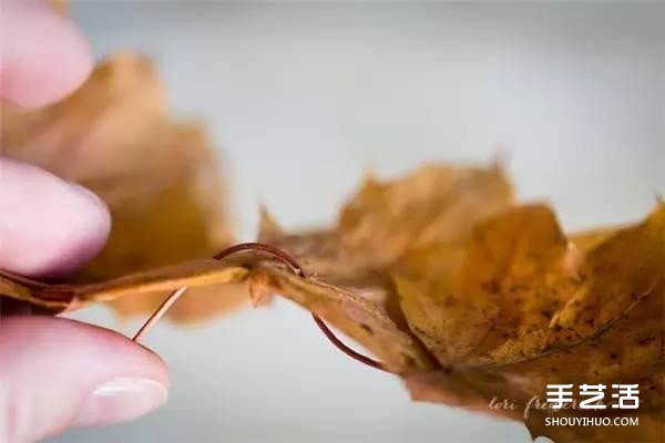 树叶皇冠的做法图片 手工枫叶皇冠制作方法(图3)