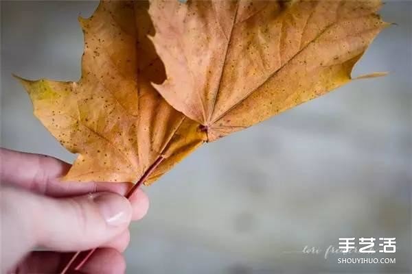 树叶皇冠的做法图片 手工枫叶皇冠制作方法(图4)