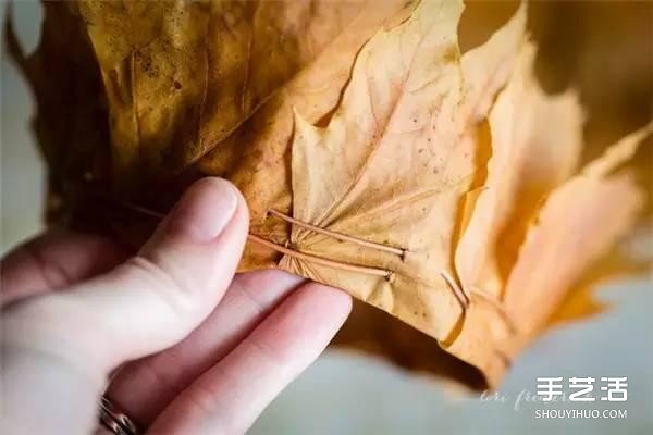 树叶皇冠的做法图片 手工枫叶皇冠制作方法(图6)