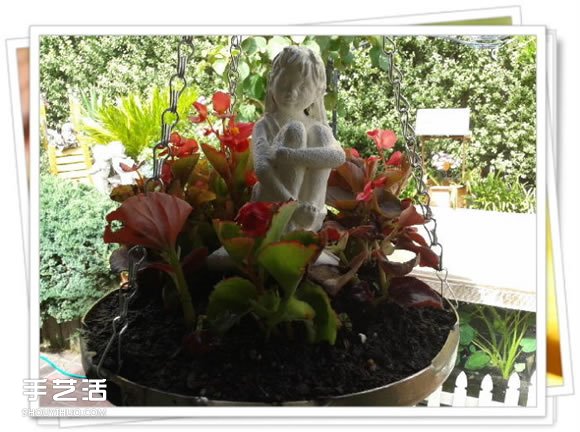 高压锅锅盖废物利用DIY制作花盆盆景的方法(图7)