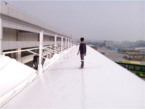 广东膜材：引领行业革新，揭秘未来绿色建筑新趋势(图1)