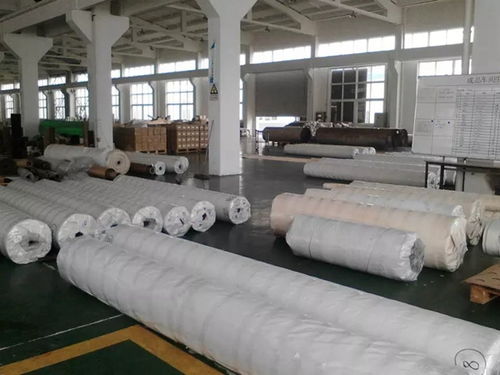 膜材加工定制:引领未来建筑新风尚(图1) 膜材加工定制:引领未来建筑新风尚(图1)