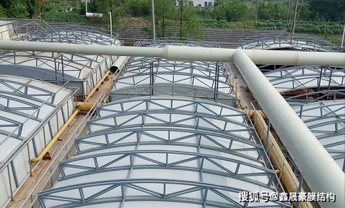 《揭秘膜材：新时代建筑材料中的璀璨明星》