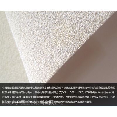 《未来材料之星：高分子膜材的无限可能及应用解析》