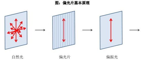PVA膜材:未来包装行业的“绿色守护者”?(图1) PVA膜材:未来包装行业的“绿色守护者”?(图1)