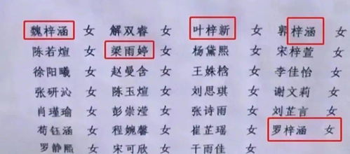 《揭秘膜材的神秘面纱：探寻新型建筑材料背后的故事》