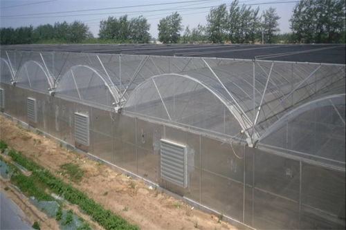 揭秘薄膜膜材:现代建筑中的隐形英雄(图1) 揭秘薄膜膜材:现代建筑中的隐形英雄(图1)