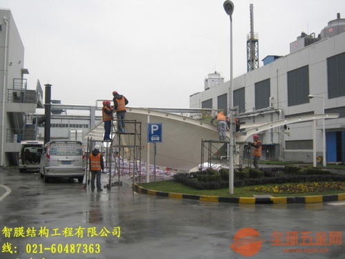 《揭秘普通膜材批发加工厂：如何从市场趋势中洞察商机？》
